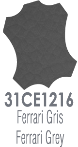 FERRARI GRIS