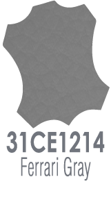 FERRARI GRAY
